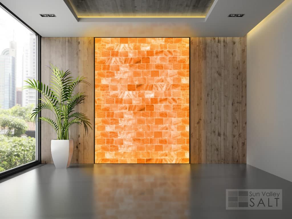Pink Himalayan Salt Wall Panel | 6 Bricks - Sun Valley Salt