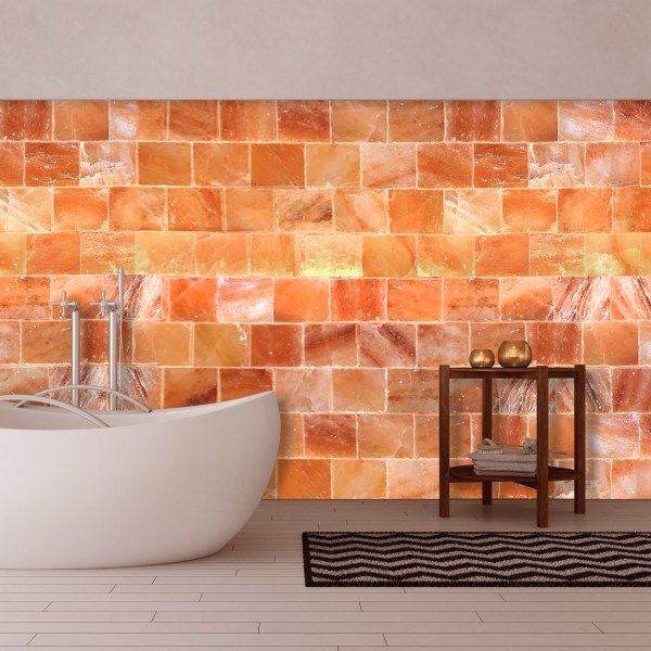 Pink Himalayan Salt Wall Panel | 6 Bricks - Sun Valley Salt